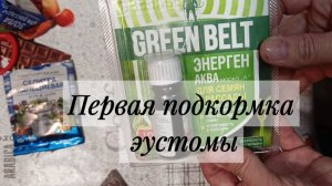 Первая подкормка эустомы