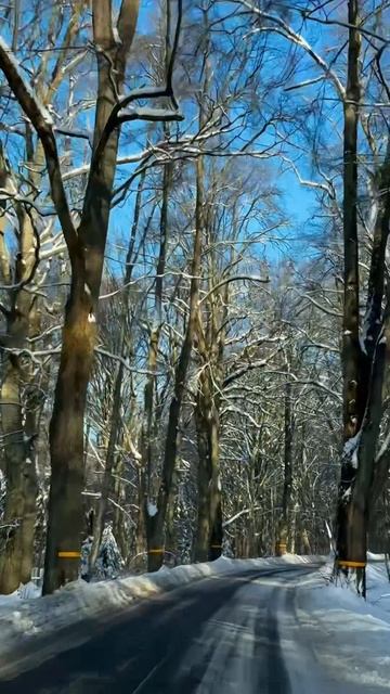 Зимние дороги Калининградская область