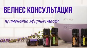 ВЕЛНЕС КОНСУЛЬТАЦИЯ