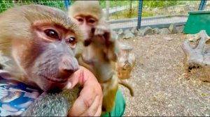 Я пытаюсь удержать Степу, чтобы Маня могла хоть не много ПООБЩАТЬСЯ с Люсей)