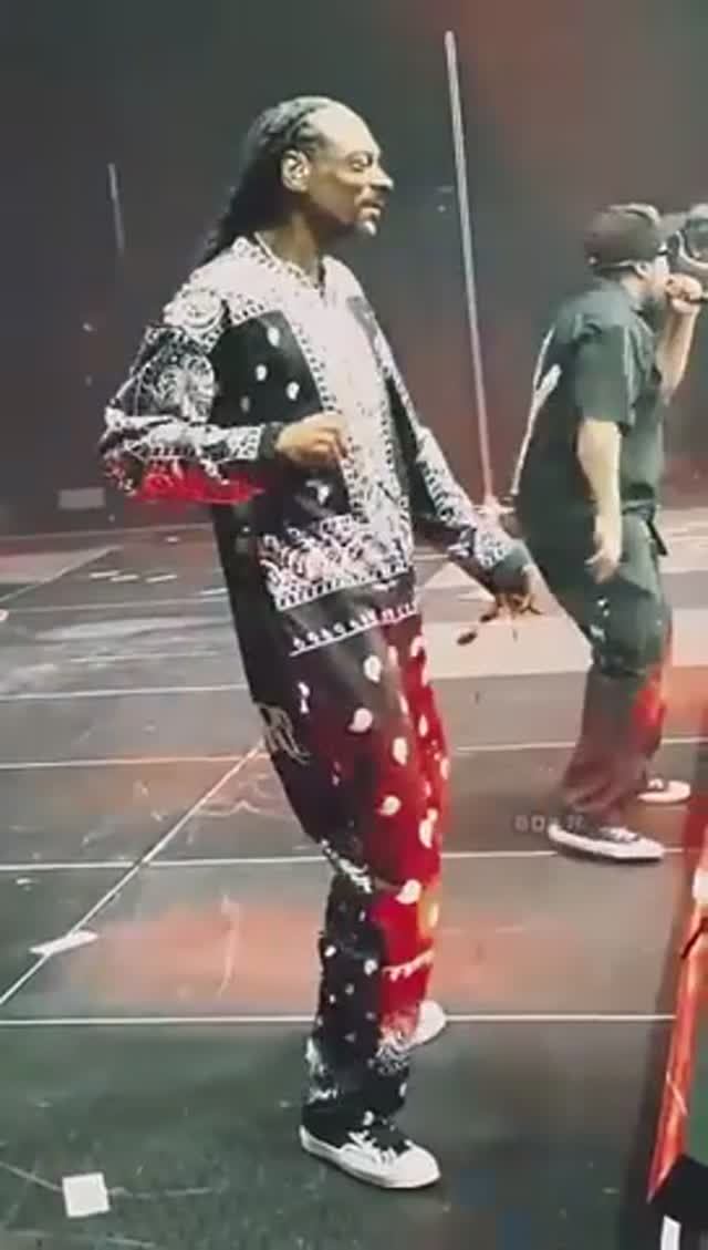 Snoop Dogg & Ice Cube Keepin' It Gangsta _ C Walk #shorts