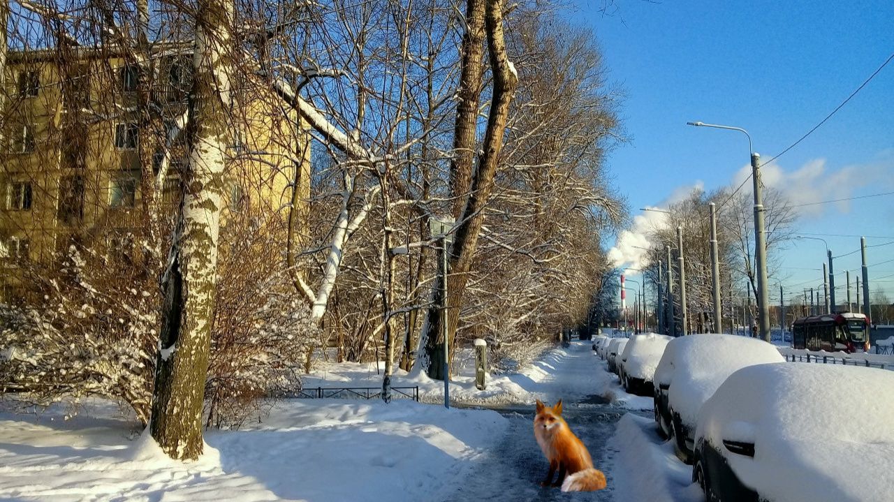 По нашим улочкам...