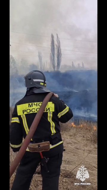 Поздравление с днём защитника Отечества