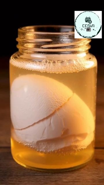 НАТУРАЛЬНЫЙ КАЛЬЦИЙ