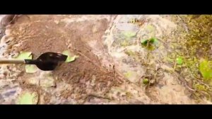 поездка за воблерами ЧАСТЬ 22