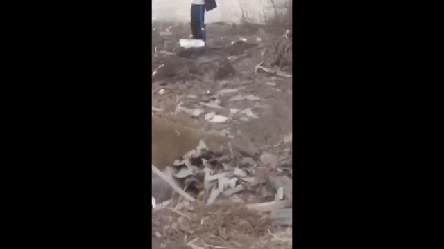 Вова Бабун Прикоп