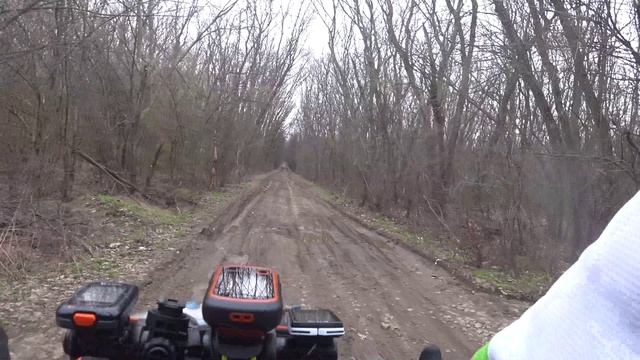 №254. Вело-этап: по Горненскому природному заказнику, 18 апреля.