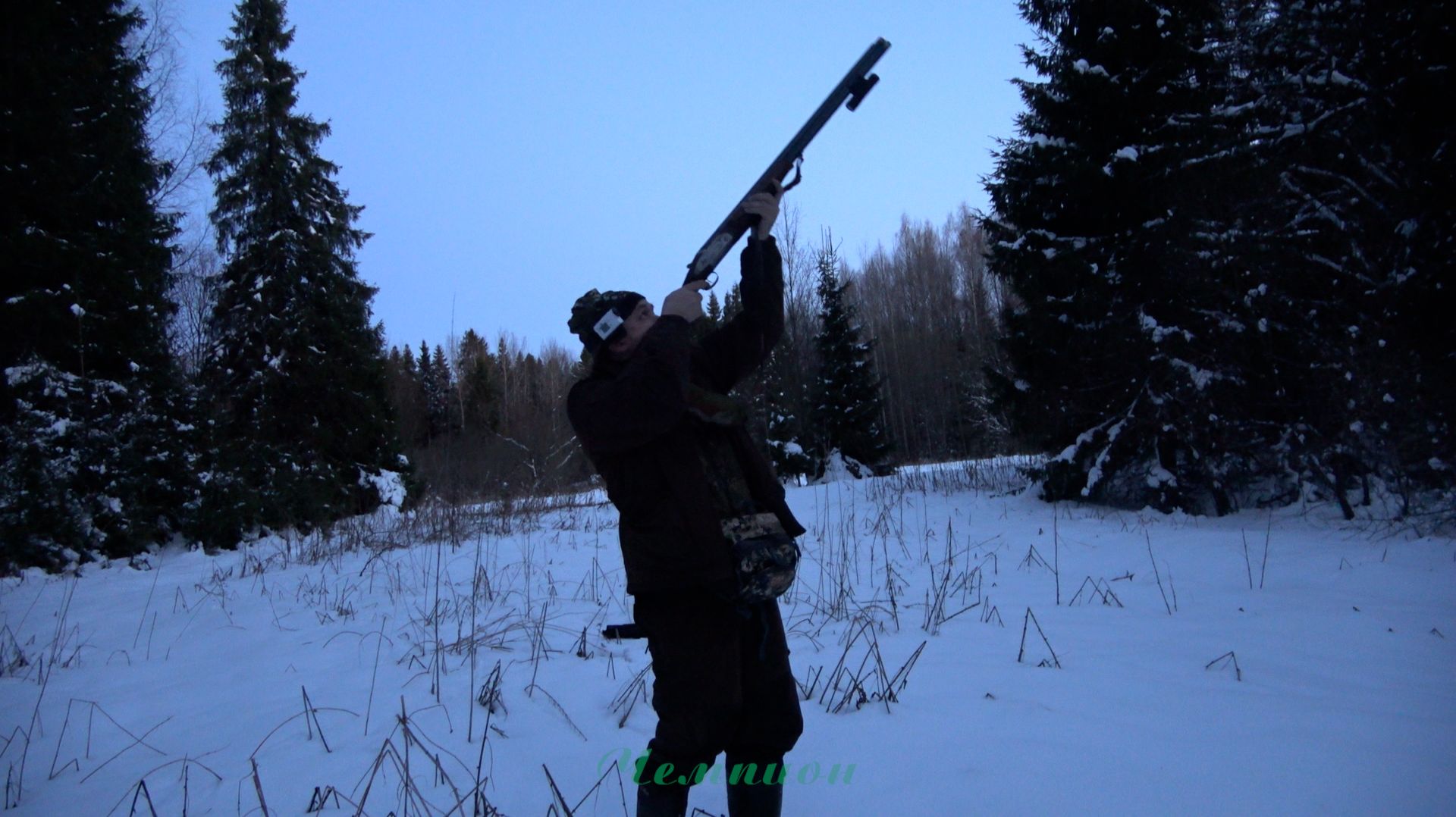 Охота на вальдшнепа в сумерках #14 | Первый выход сезона Охота на вальдшнепа в сумерках #14 | Первый выход сезона