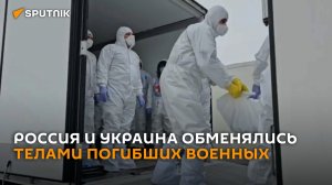 Россия и Украина снова обменялись телами погибших военнослужащих