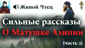 ВНУЧКА ЗАРЫЧАЛА ПРИ ВИДЕ ИКОНЫ...Сильные рассказы о Матушке Алипии (часть 2)