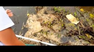 поездка за воблерами ЧАСТЬ 40