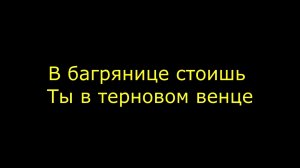 В багрянице стоишь Ты в терновом венце