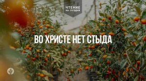 ВО ХРИСТЕ НЕТ СТЫДА | АУДИО |	2	  марта 2026