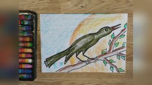 Как нарисовать птицу карандашами ребенку_скворец на ветке