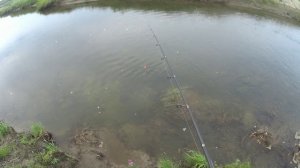 тундра, речка и хариус)