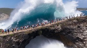 70 случаев когда, природа сошла с ума.