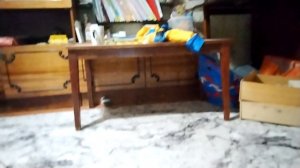 ฅ^•ﻌ•^ฅV●ᴥ●VV●ᴥ●VU^ｪ^U-ᄒᴥᄒ-(◕ᴥ◕)ʕ ꈍᴥꈍʔ…ᘛ⁐̤ᕐᐷ(^._.^)ﾉ(・(