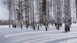 Февраль 26. Зима не отступает -30.