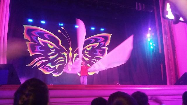 VID_20260226_144449.mp4