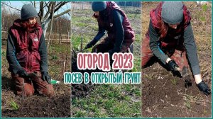 #огород  2023 / Посев в открытый грунт / #капуста #салат #шпинат