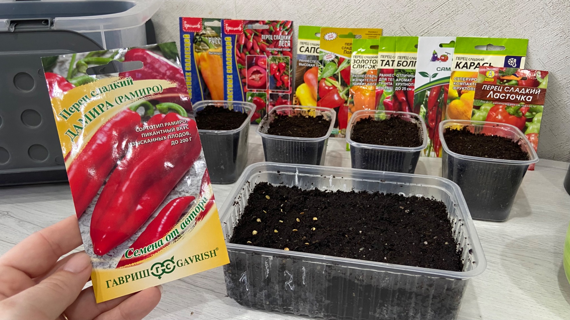 Сею сладкий перец на рассаду. смотреть онлайн