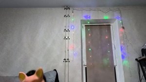 анонимус против лисы первая часть