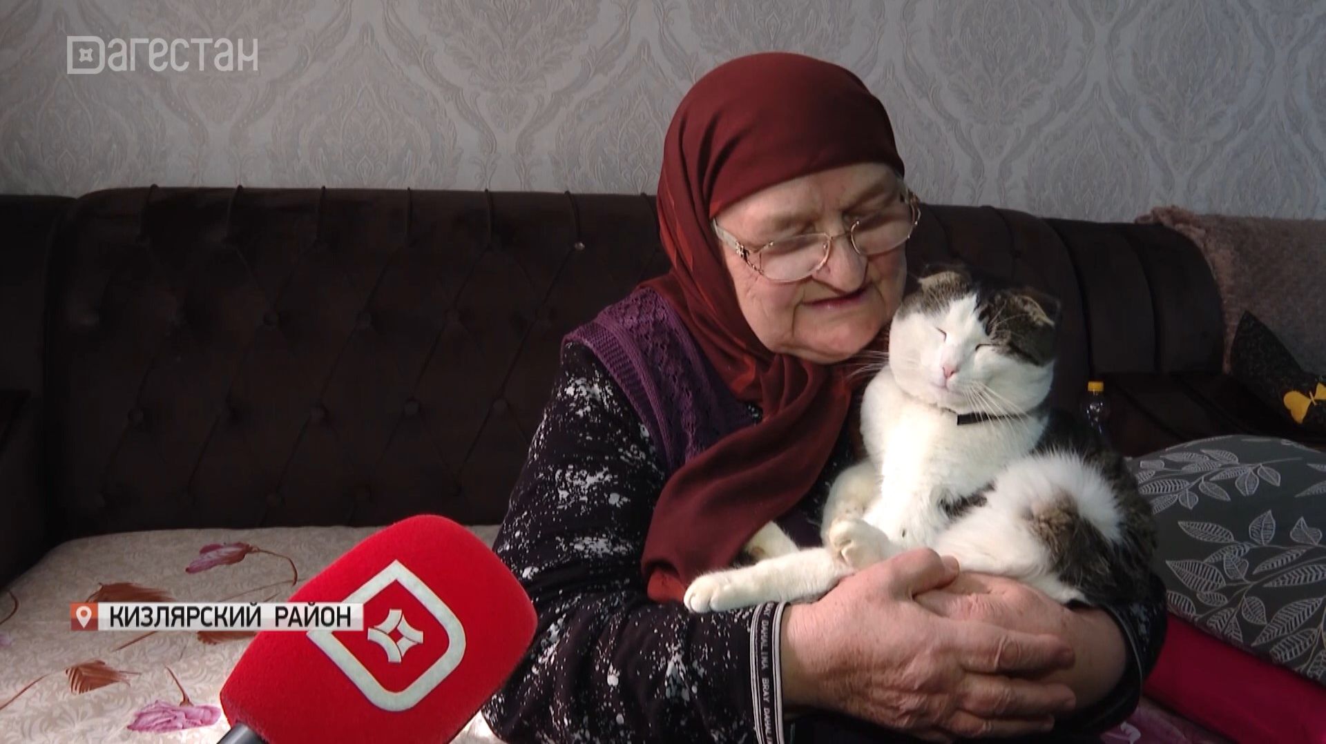 Вирусное видео из Дагестана: бригада скорой помощи спасает человека, за происходящим наблюдает кот смотреть онлайн