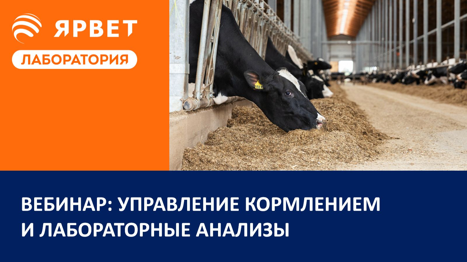 Управление кормлением и лабораторные анализы смотреть онлайн