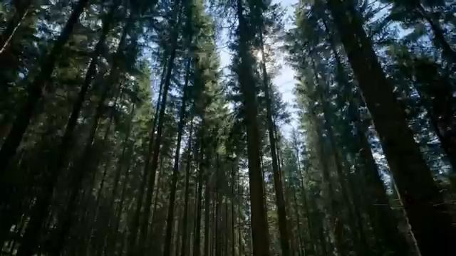 Капали слёзы В Залкин cover remix смотреть онлайн