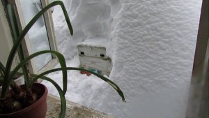 февраль, улей в сугробе с пчелой на ячейке 4,9 мм , 26.02.2026