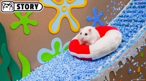 Потрясающий лабиринт с бассейном для хомяков в подводном мире 🐹 Хомяк Хомура