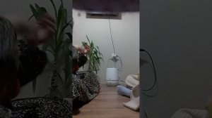 мир 
 мир ник стал ребёнком