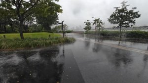 Сингапур, Gardens by the Bay  фонтан. Декабрь 2025