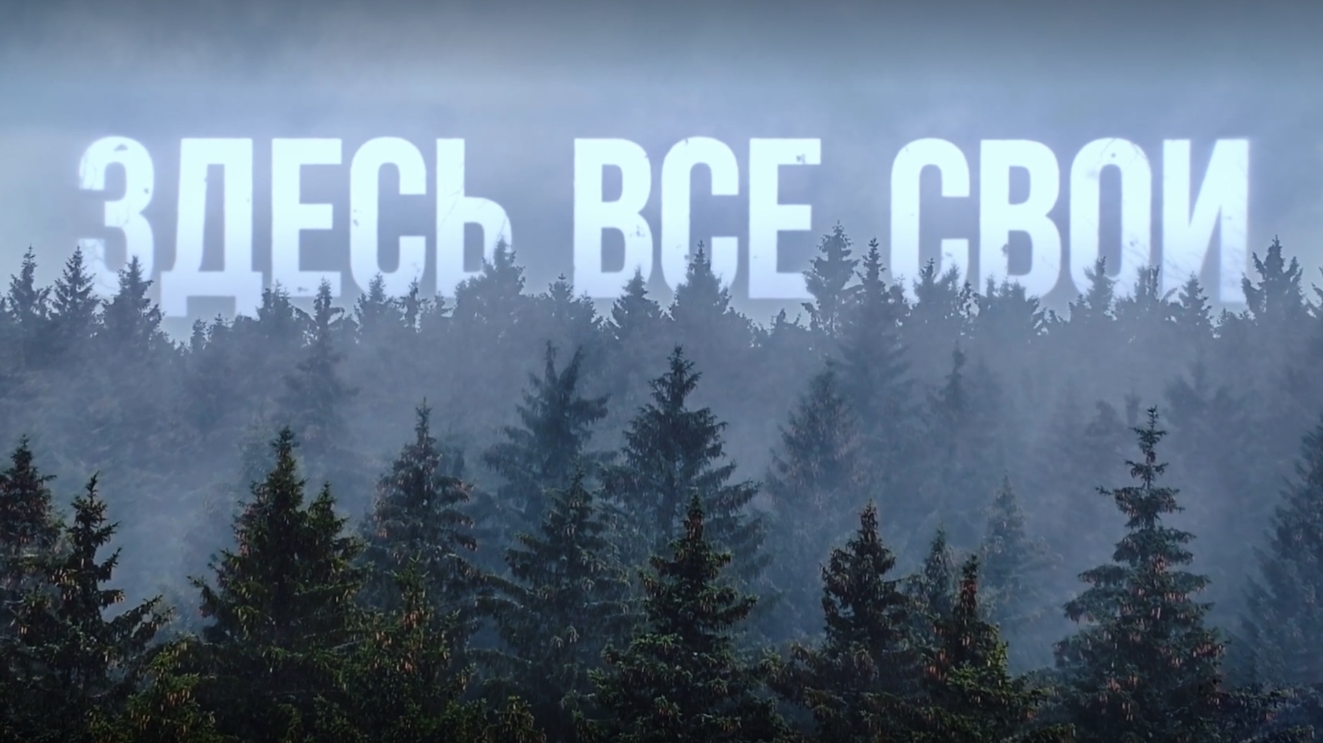 Здесь все свои