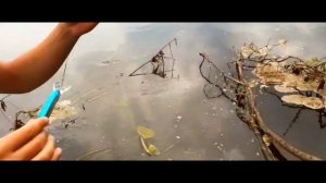 поездка за воблерами ЧАСТЬ 4