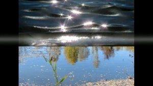 Фруктово - ядерный коктейль - песня(текст) Екатерина Комарова