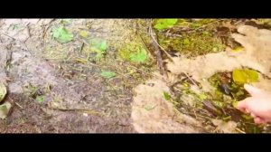 поездка за воблерами ЧАСТЬ 29