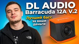 Распаковка и установка активного сабвуфера DL AUDIO Barracuda 12A V.2