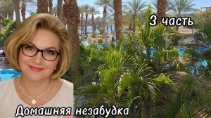 3 часть. Каждой страшненькой по МУЖИКУ❗️Куча уже отоварилась🤣❗️