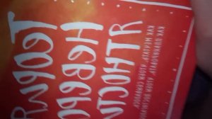 lv_0_20260226202601.mp4