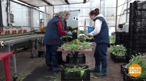 Ищу работу на лето! Доброе утро. Фрагмент выпуска от 26.02.2026