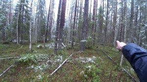 ТАКУЮ ПТИЦУ Я ЕЩЁ НЕ ДОБЫВАЛ. ИЩУ ДОБЫЧУ ДО ПОСЛЕДНЕГО. ПОЖАЛЕЛ ВОРИШКУ. 23 серия