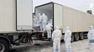 Россия и Украина провели обмен телами погибших военных.