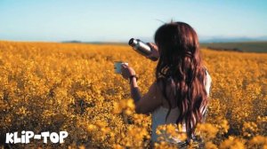 Klip-Top - Берёзка Белая 2025