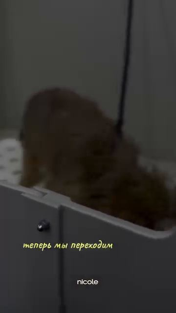 Для записи звоните или пишите +7 911 081 4252