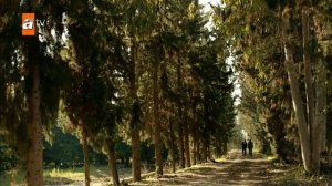 Однажды в Чукурова 24 серия Турецкий сериал