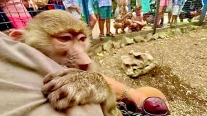 СМЕХОТА! Маня развеселила всех посетителей когда стала отбирать у Влада МУСОРНЫЙ ПАКЕТ!