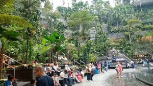 Сингапур, Аэропорт Чанги T1 фонтан с первого уровня. Декабрь 2025