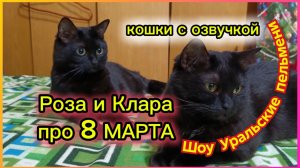 КОШКИ  С ОЗВУЧКОЙ. Клара и Роза  про 8 МАРТА!