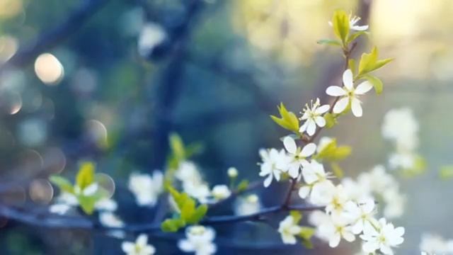 Весна смотреть онлайн